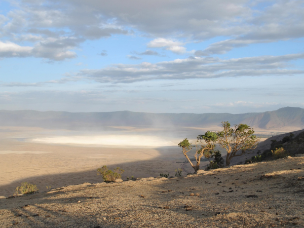 5-Days Tarangire & Ngorongoro Safari