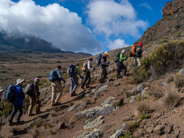 7-Days Kilimanjaro Machame Route