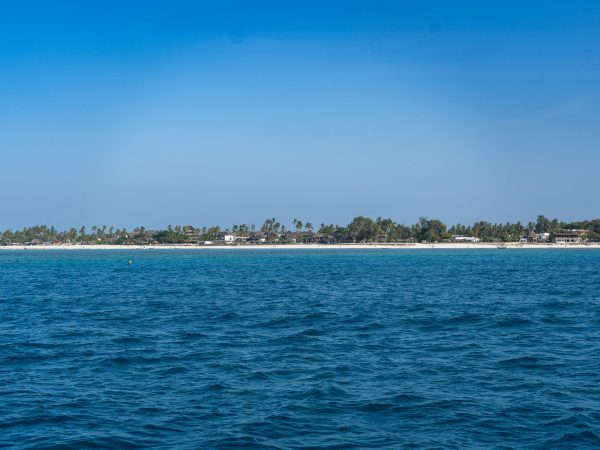 4-Day Serengeti and Zanzibar Fly-In Safari